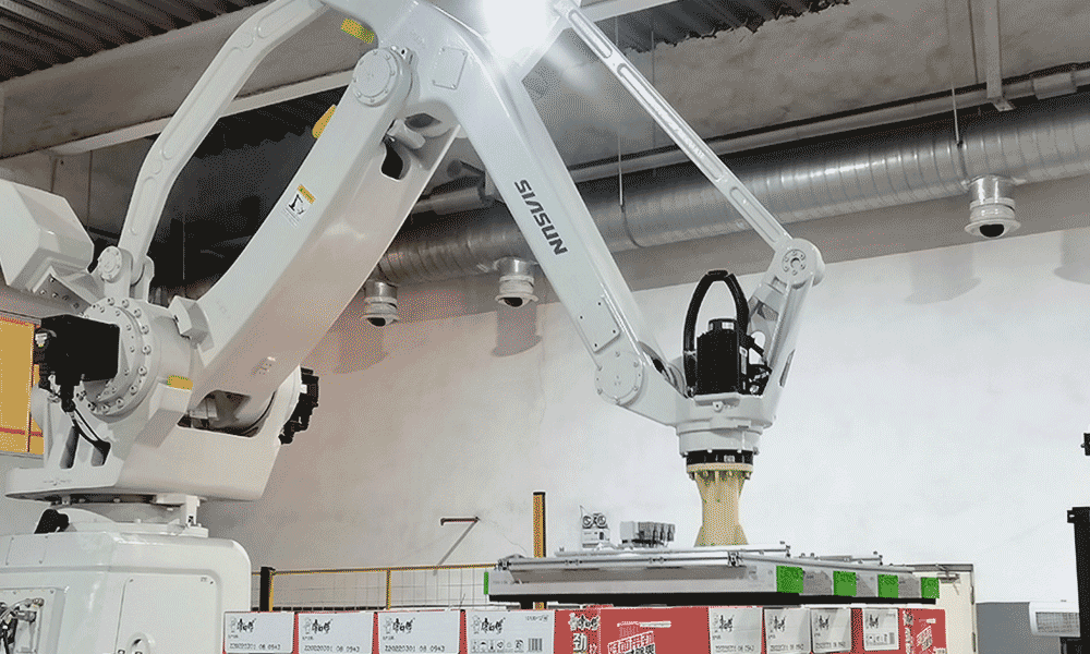 Automated Palletizing System for Finished Cartons