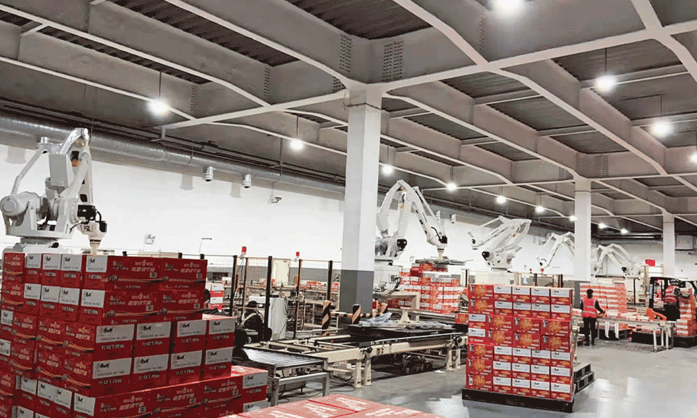 Automated Palletizing System for Finished Cartons