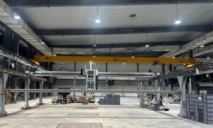 Rackless Gantry Robot Cold Storage System for F...