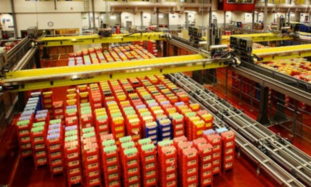 Automated Palletizing System for Finished Cartons