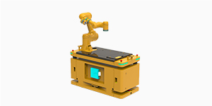 Mobile Manipulator Robot