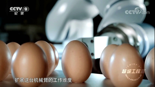 1509593066343248.jpg 5.jpg