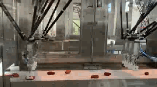 1543393759184697.gif IMG_2005~1_clip.gif