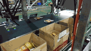 1543393817474150.gif 4.蚕豆现场生产视频_clip.gif