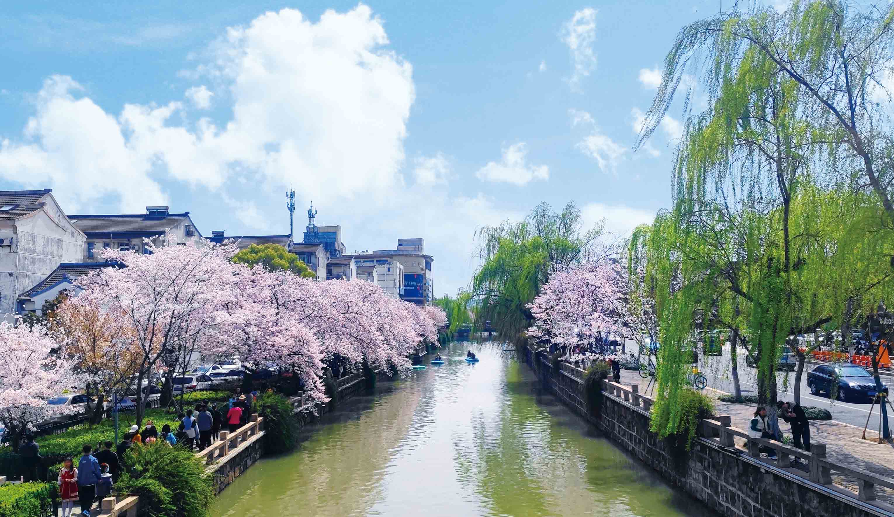 【今日谷雨】蓝狮娱乐人镜头下的春日诗篇