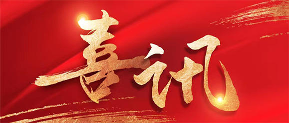 蓝狮娱乐公司总裁张进当选第十四届全国人大代表！